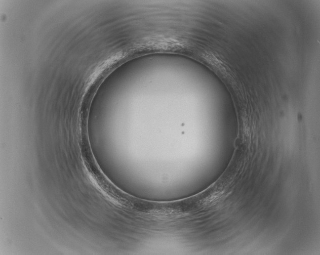 X0000053000630200507291643