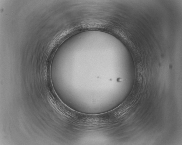 X0000053000631200507291643