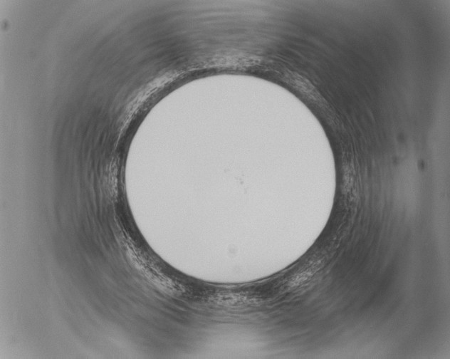 X0000053000632200507291643