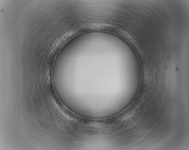 X0000053000633200507291643