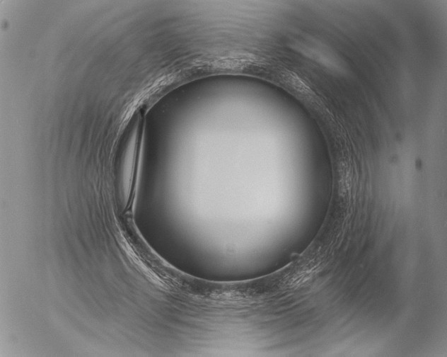 X0000053000634200507291643