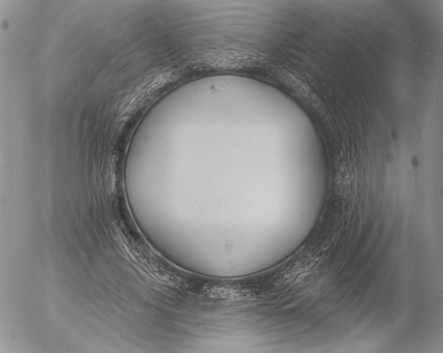 X0000053000635200507291643