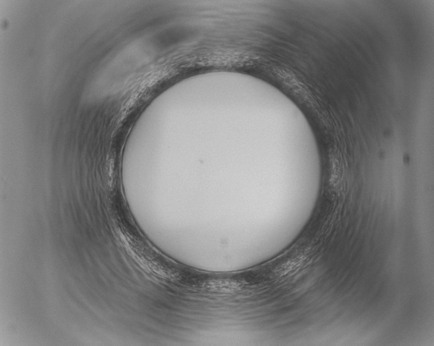 X0000053000636200507291643