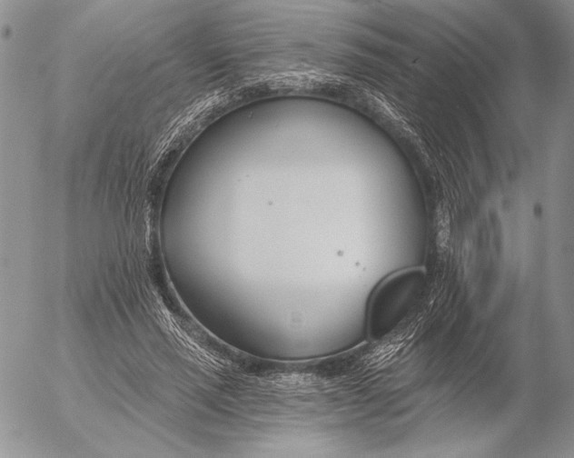 X0000053000637200507291643