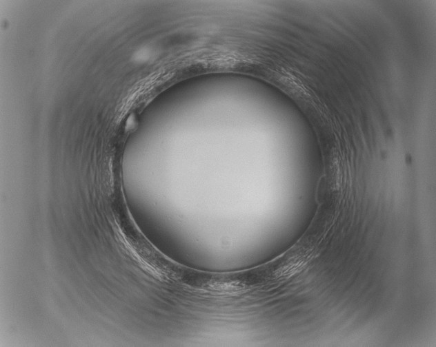 X0000053000638200507291643