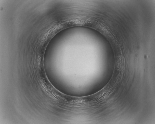 X0000053000639200507291643