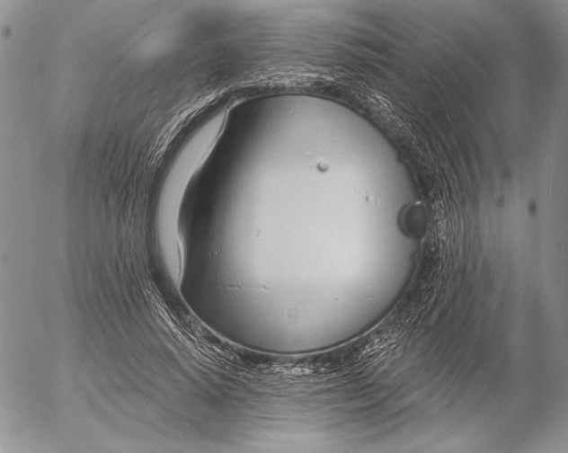 X0000053000640200507291643