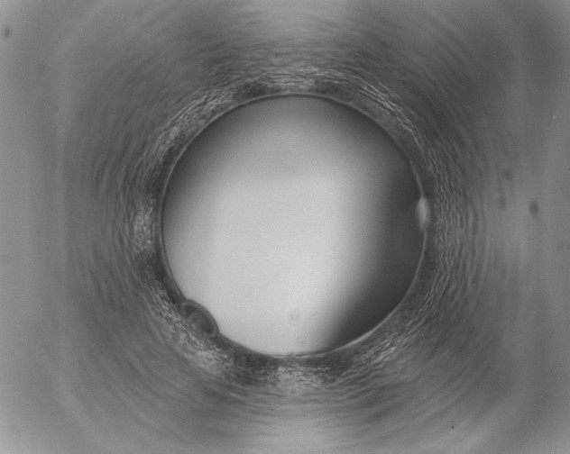 X0000053000641200507291643