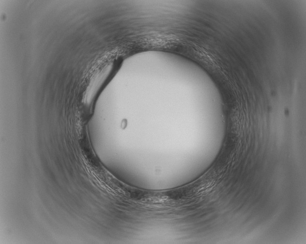 X0000053000642200507291643