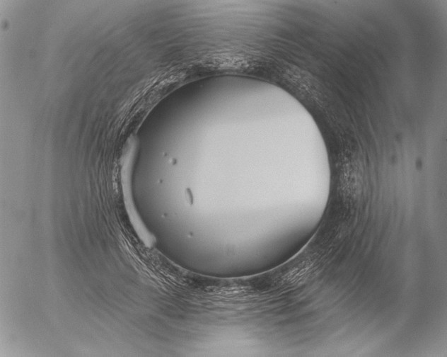 X0000053000643200507291643