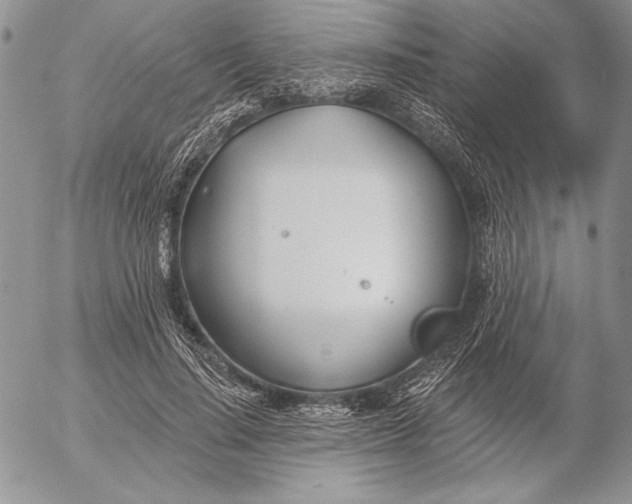 X0000053000644200507291643