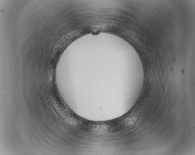 X0000053000645200507291643