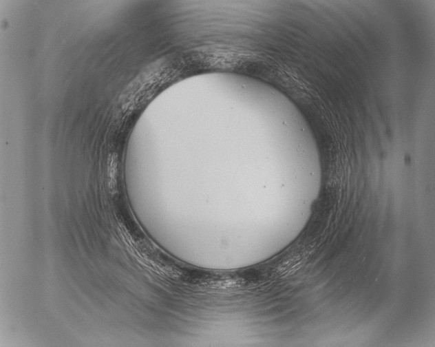 X0000053000646200507291643