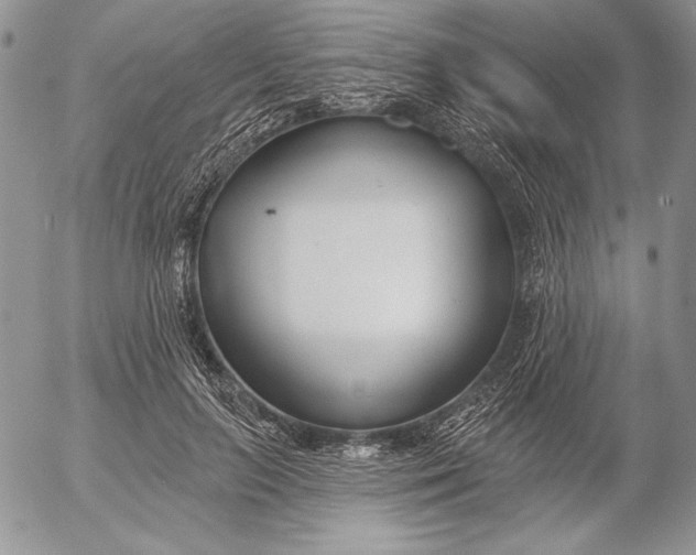 X0000053000647200507291643