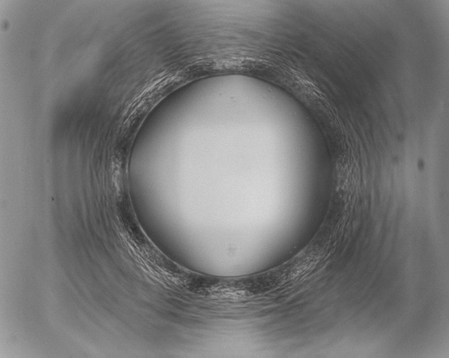 X0000053000648200507291643