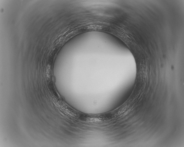 X0000053000649200507291643