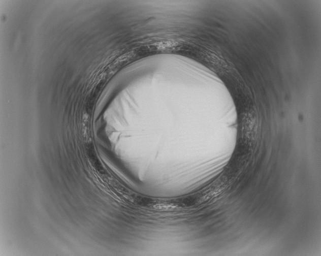 X0000053000650200507291643