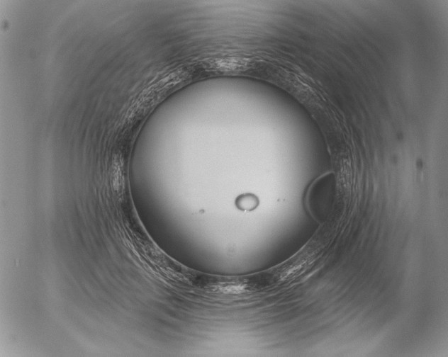 X0000053000651200507291643