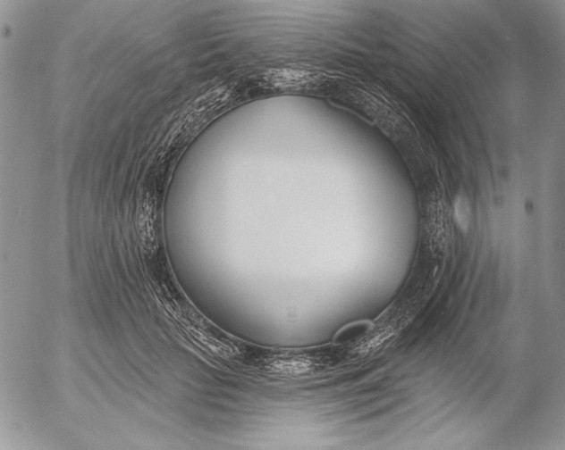 X0000053000653200507291643