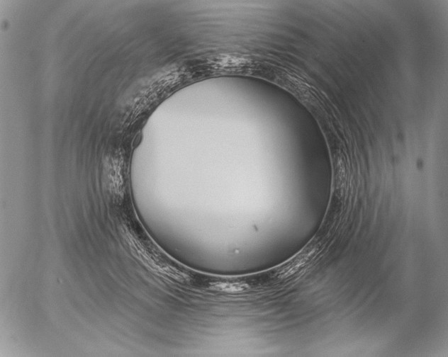 X0000053000654200507291643