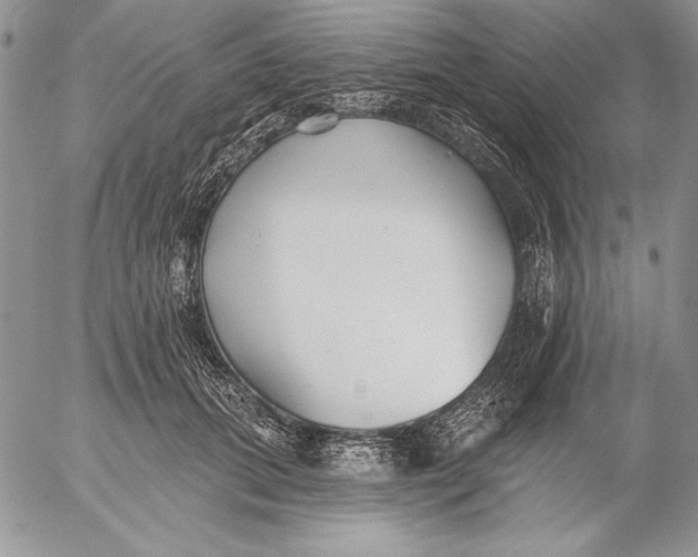 X0000053000655200507291643