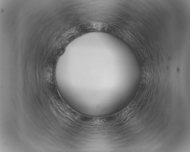 X0000053000656200507291643