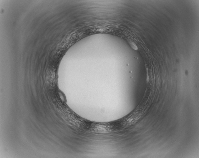 X0000053000657200507291643