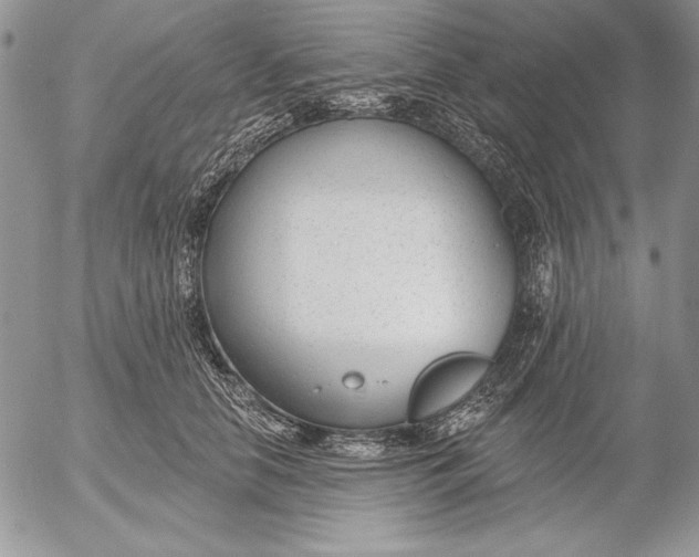 X0000053000658200507291643