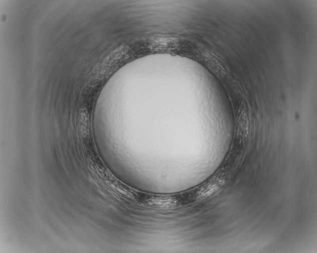 X0000053000659200507291643