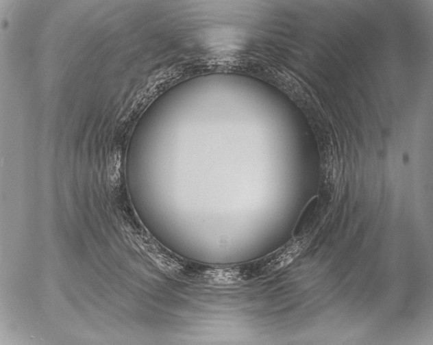 X0000053000660200507291643