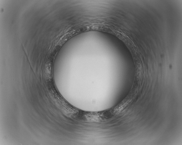 X0000053000661200507291643