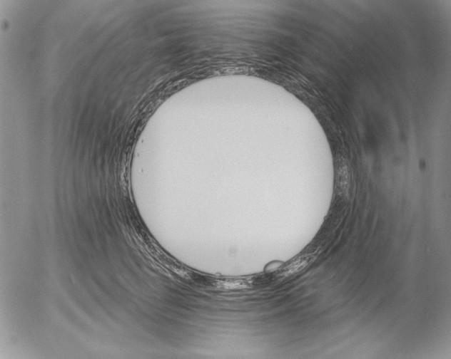 X0000053000662200507291644