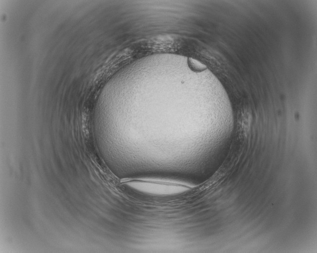 X0000053000663200507291644