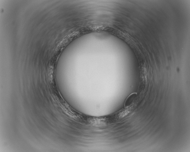 X0000053000664200507291644