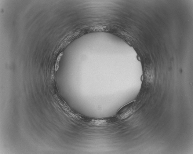 X0000053000665200507291644