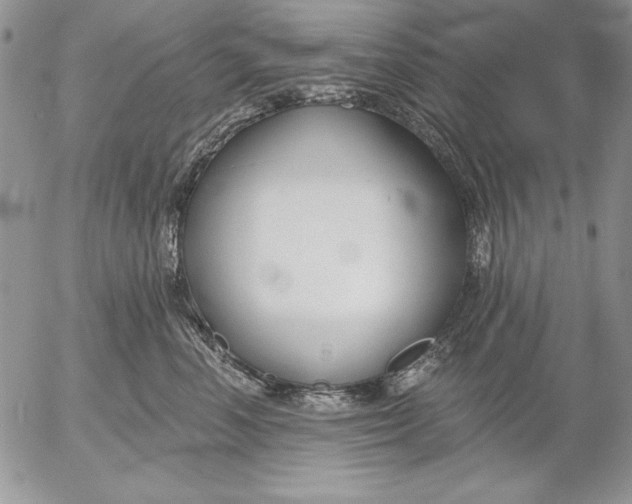 X0000053000666200507291644