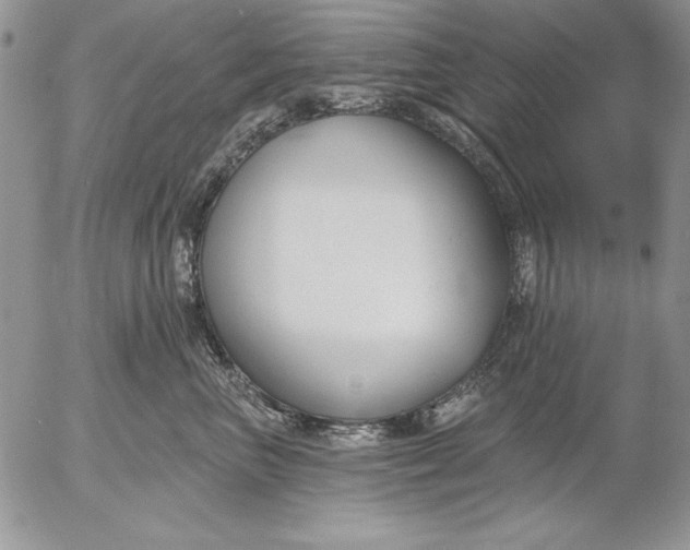 X0000053000667200507291644