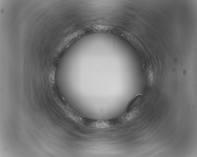 X0000053000668200507291644