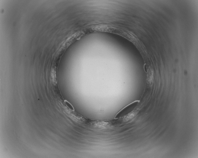 X0000053000669200507291644