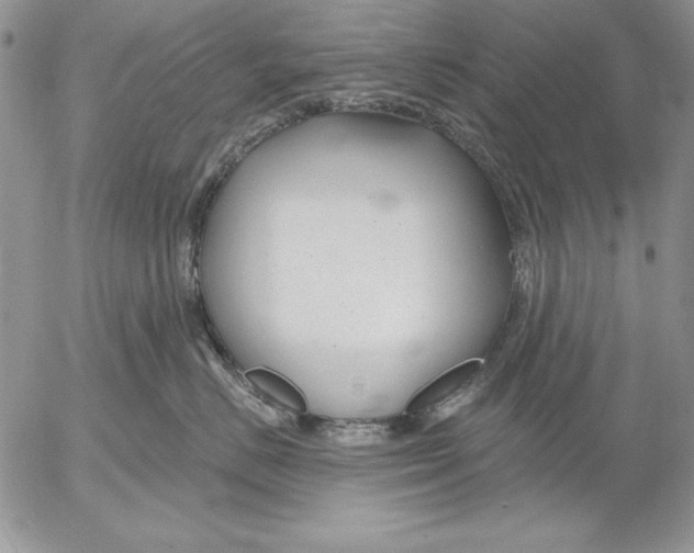 X0000053000670200507291644