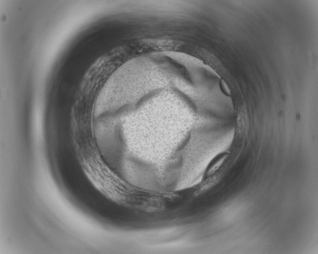 X0000053000671200507291644