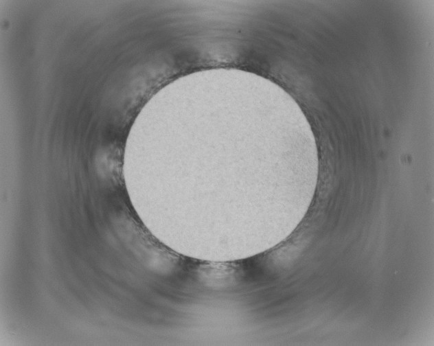 X0000053000672200507291644