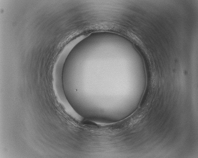 X0000053000673200507291643