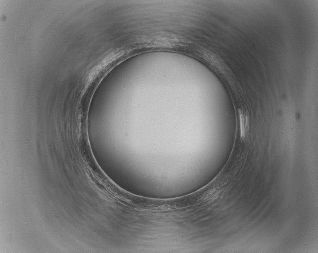 X0000053000675200507291643