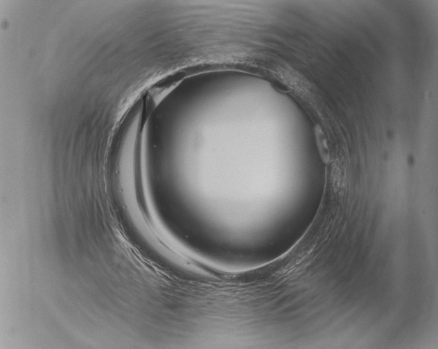 X0000053000676200507291643