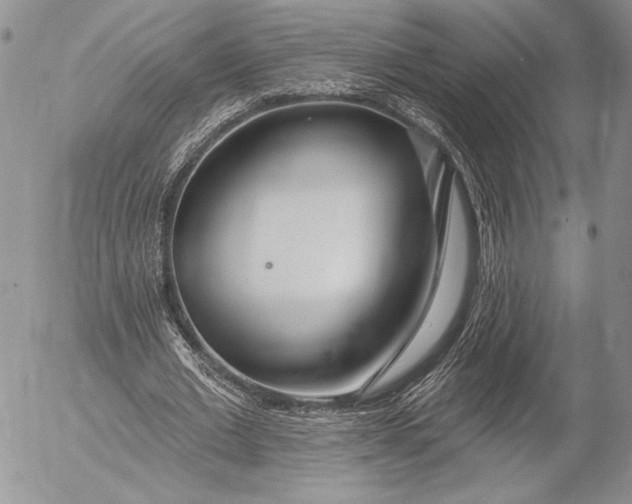 X0000053000677200507291643