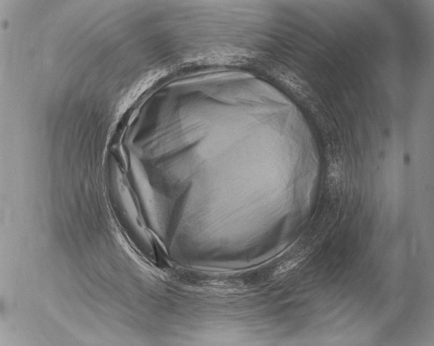 X0000053000678200507291643