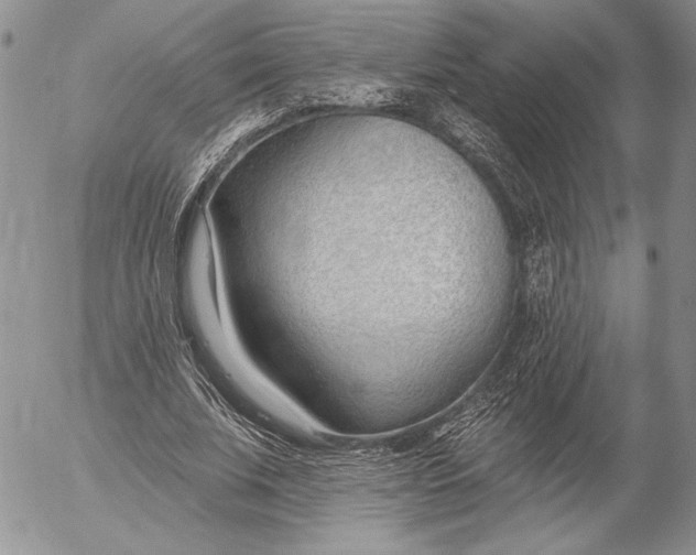 X0000053000679200507291643