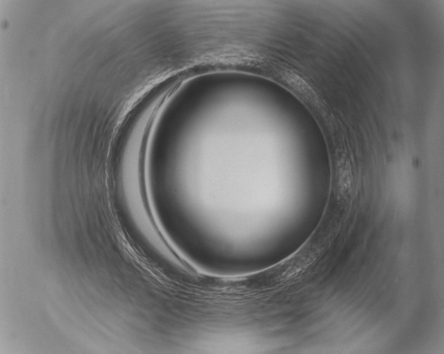 X0000053000680200507291643