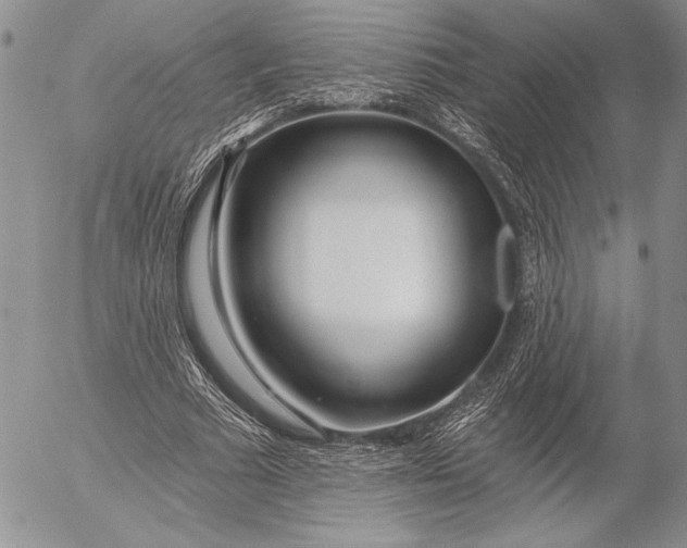 X0000053000681200507291643